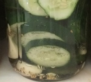 Our Homemade Pickles