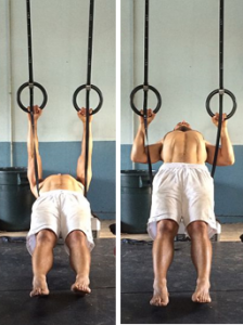 Inverted Row