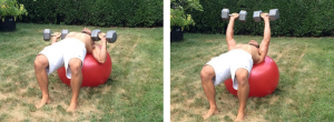 Swiss Ball Dumbbell Press